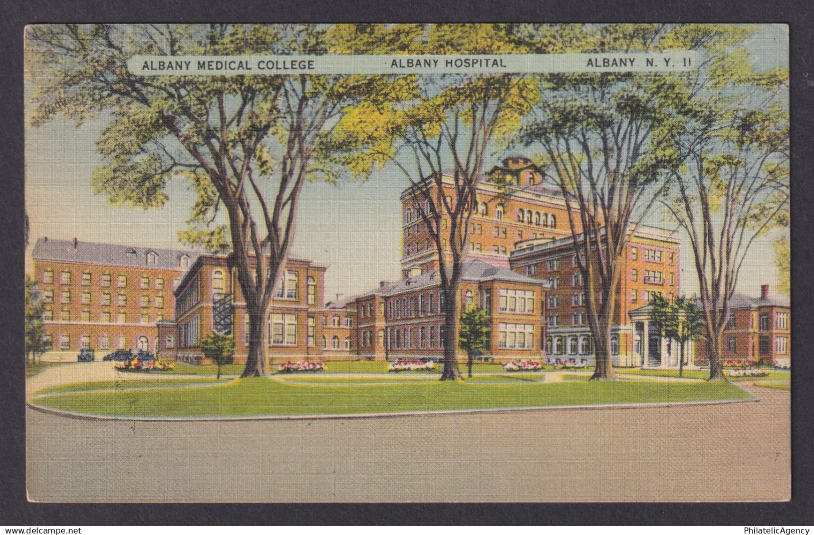 Postcard, United States, Albany NY, Medical College, Albany Hospital