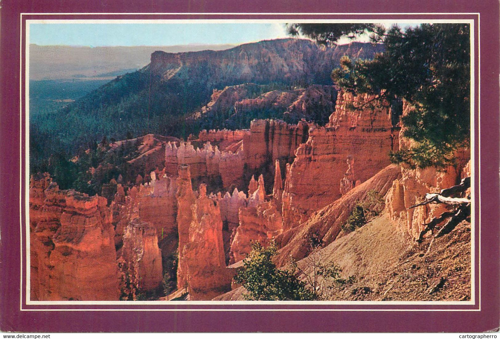 Postcard United States > UT - Utah > Bryce Canyon Cedar city