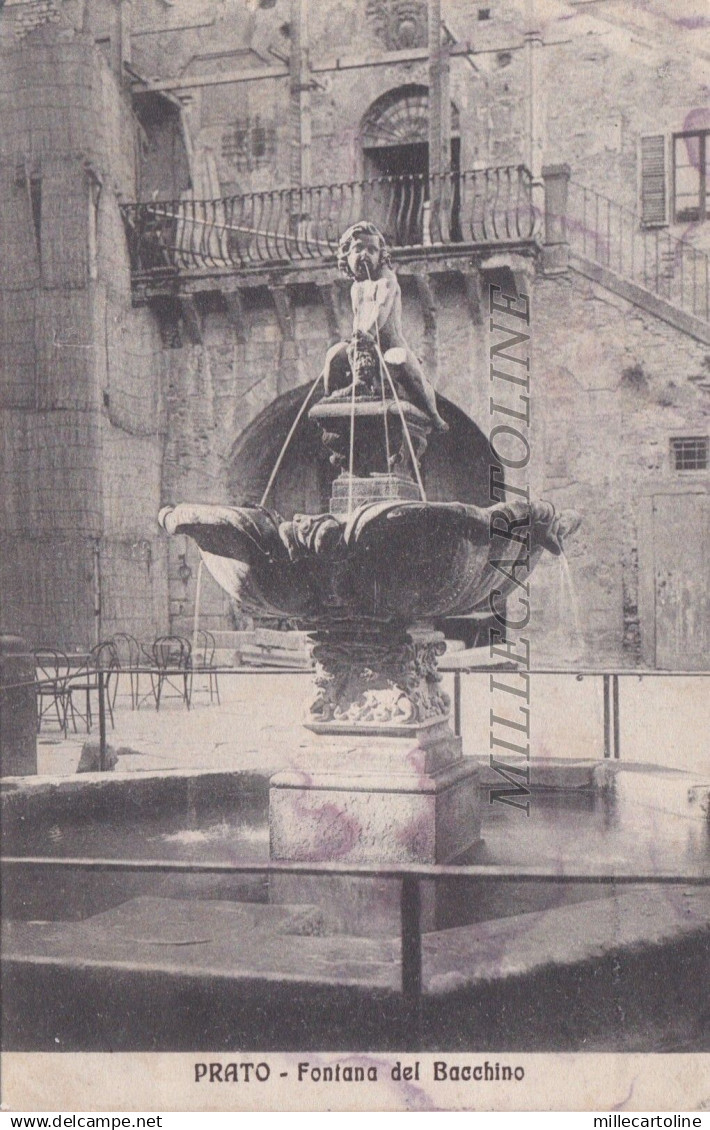 PRATO: Fontana del Bacchino