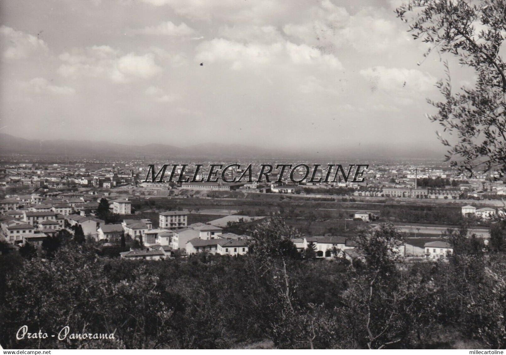 PRATO: Panorama    1962