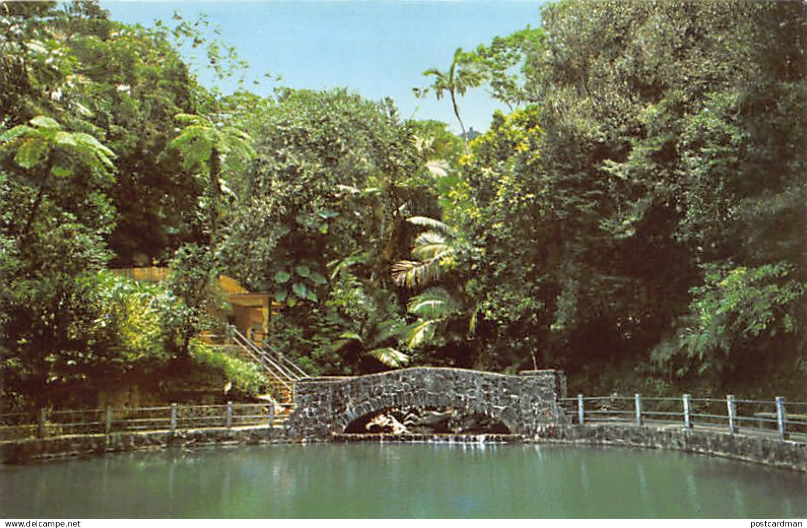 Puerto Rico - EL YUNQUE - Vista del bosque tropical - Ed. Rahola