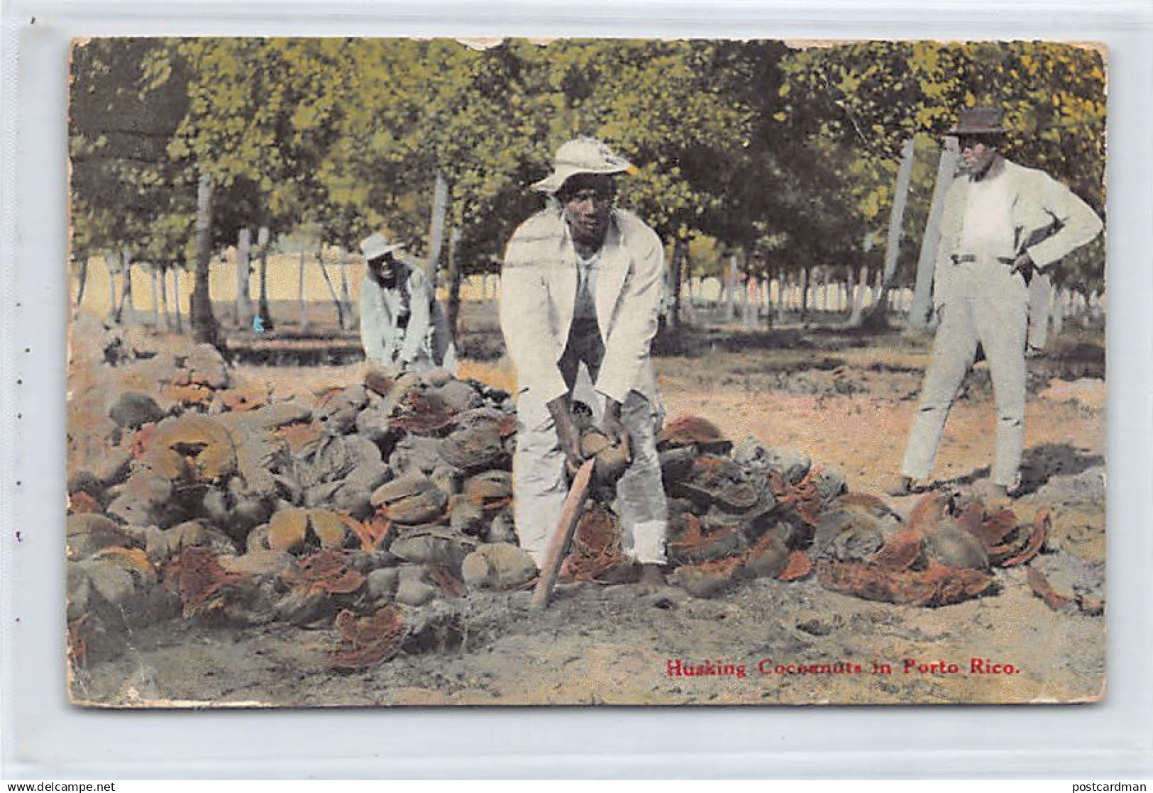 Puerto Rico - Husking cocoanuts - Publ. Waldrop 47