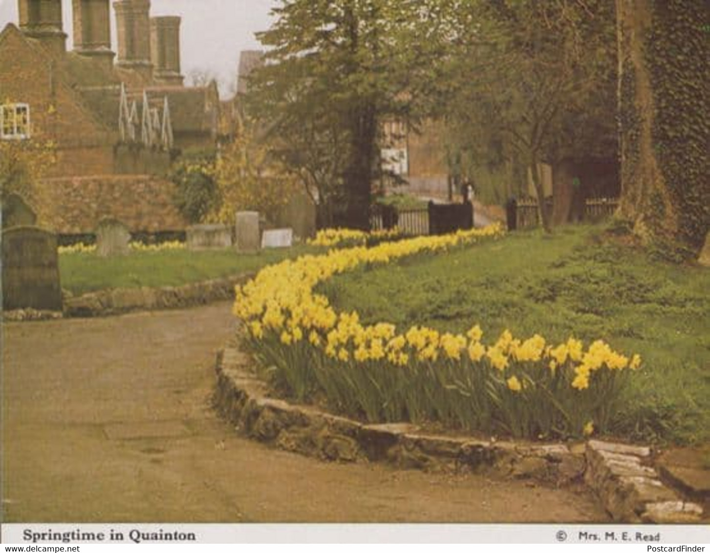 Quainton Buckinghamshire Spring Daffodils Womens Institute Postcard