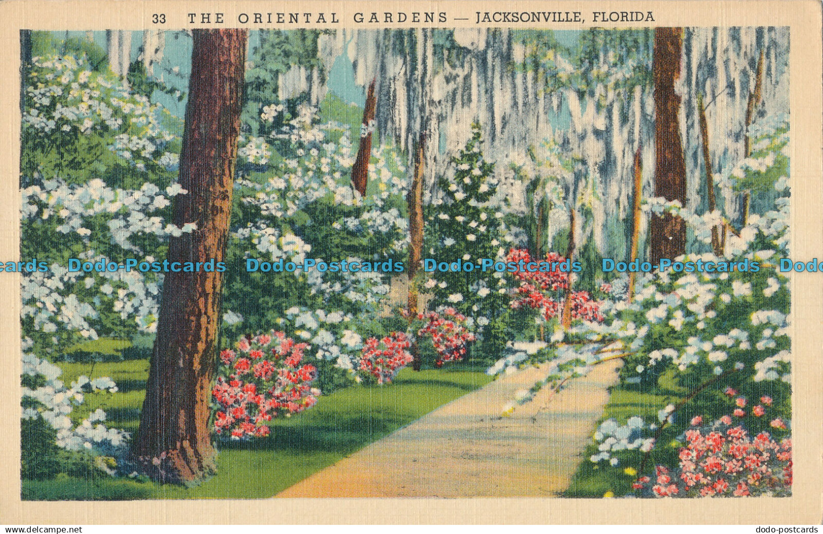 R004943 The Oriental Gardens. Jacksonville. Florida. Duval News