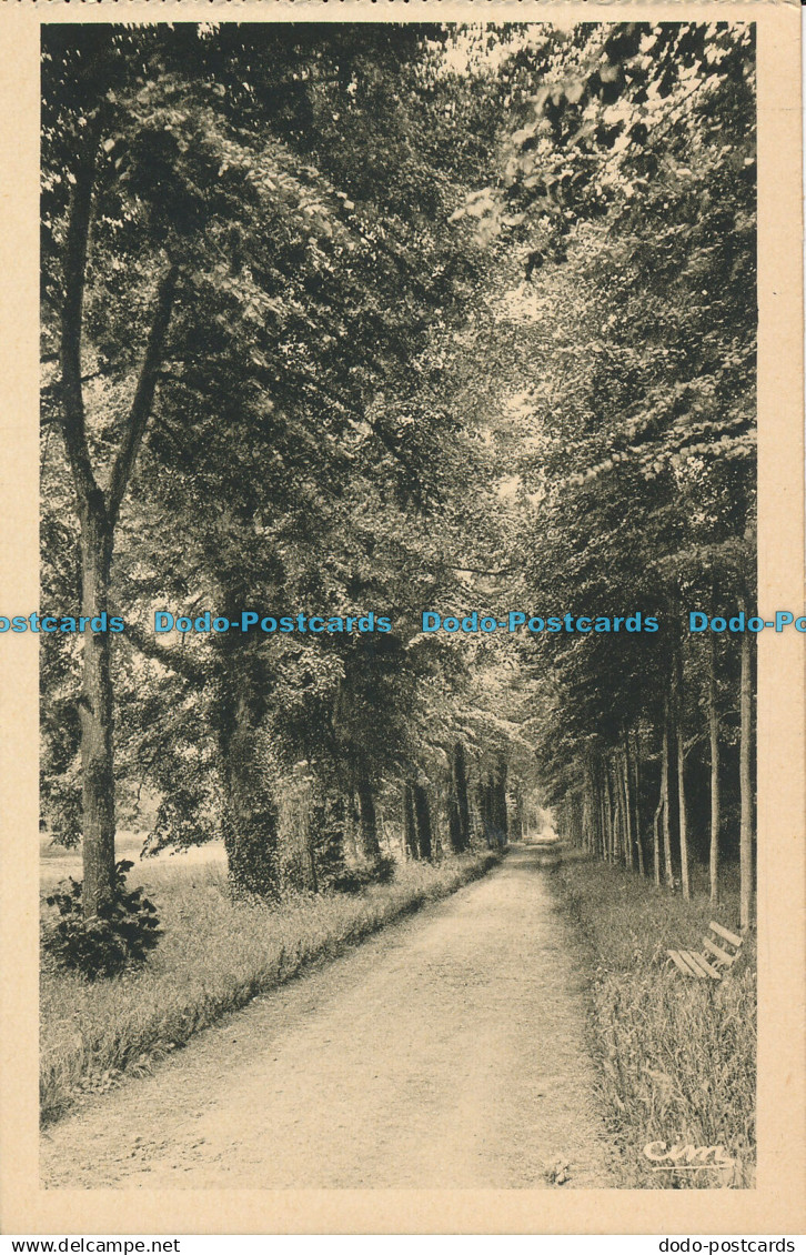 R008225 Maintenon. Allee Racine dans le Parc du Chateau. De Keyzer