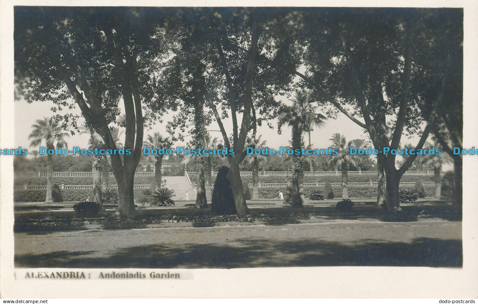 R009284 Alexandria. Andoniadis Garden