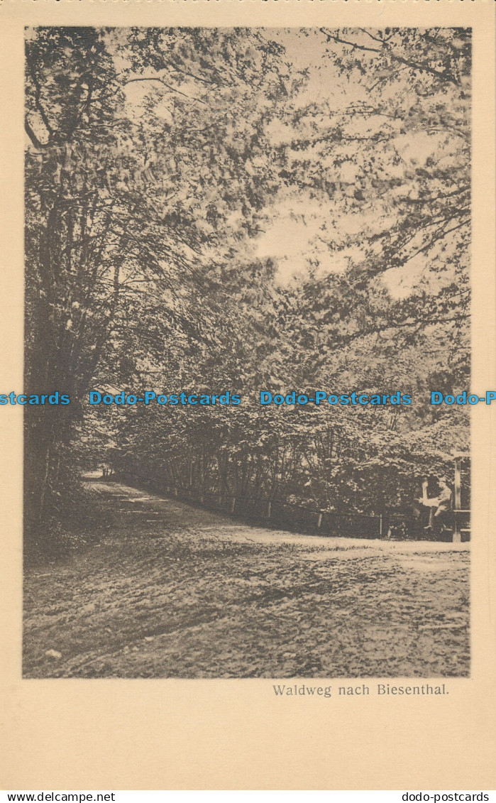 R014036 Waldweg nach Biesenthal. W. Neumann. B. Hopkins