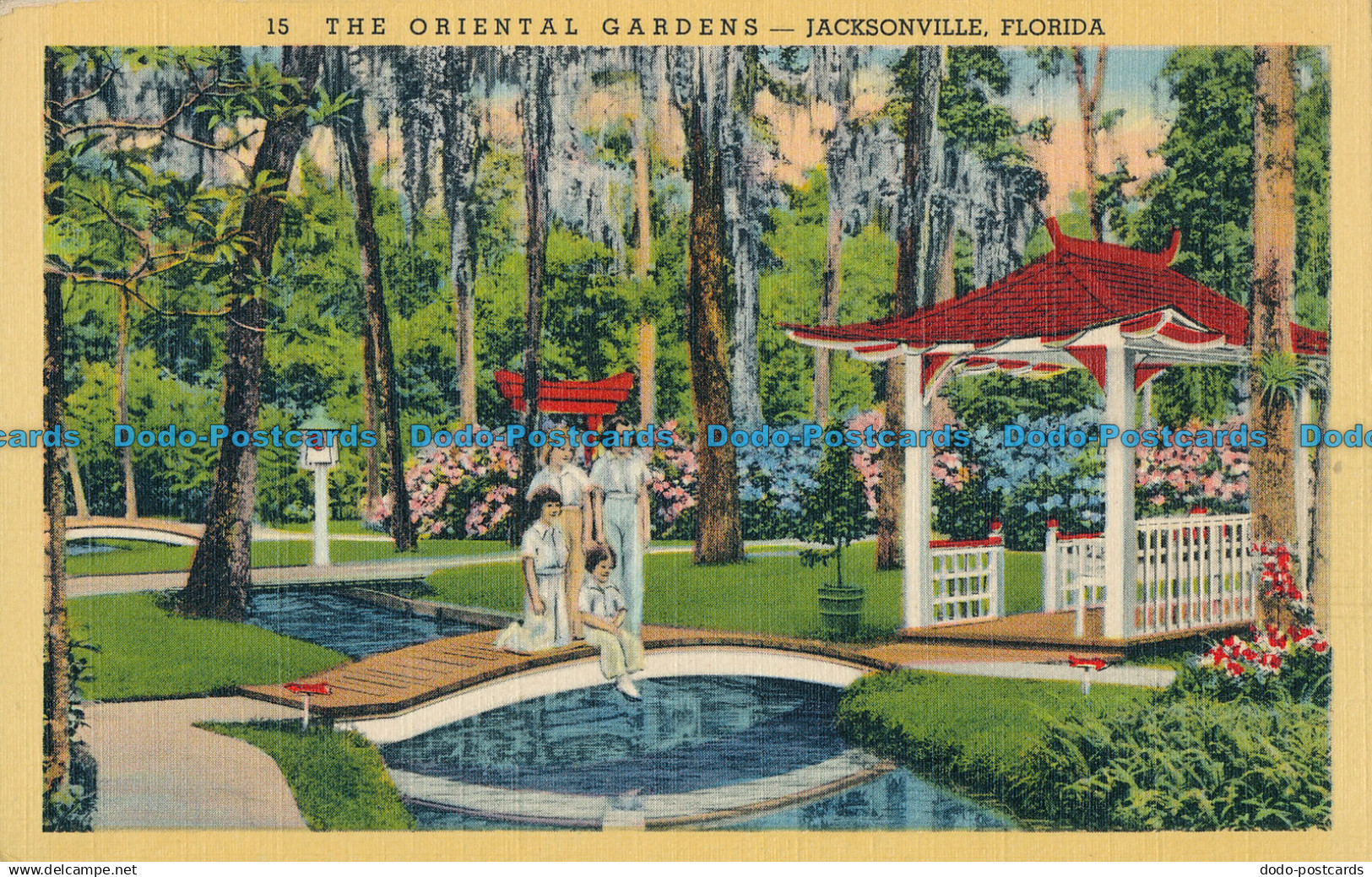 R015224 The Oriental Gardens. Jacksonville. Florida. Duval News