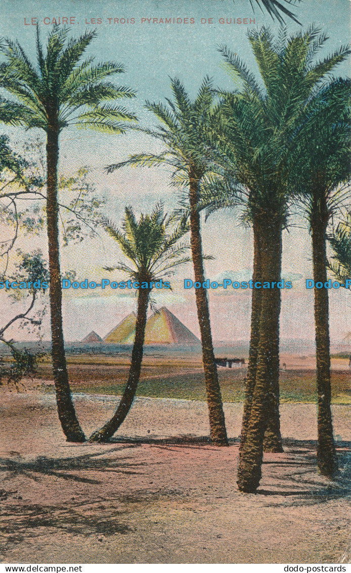 R017783 Le Caire. Les Trois Pyramides de Guiseh