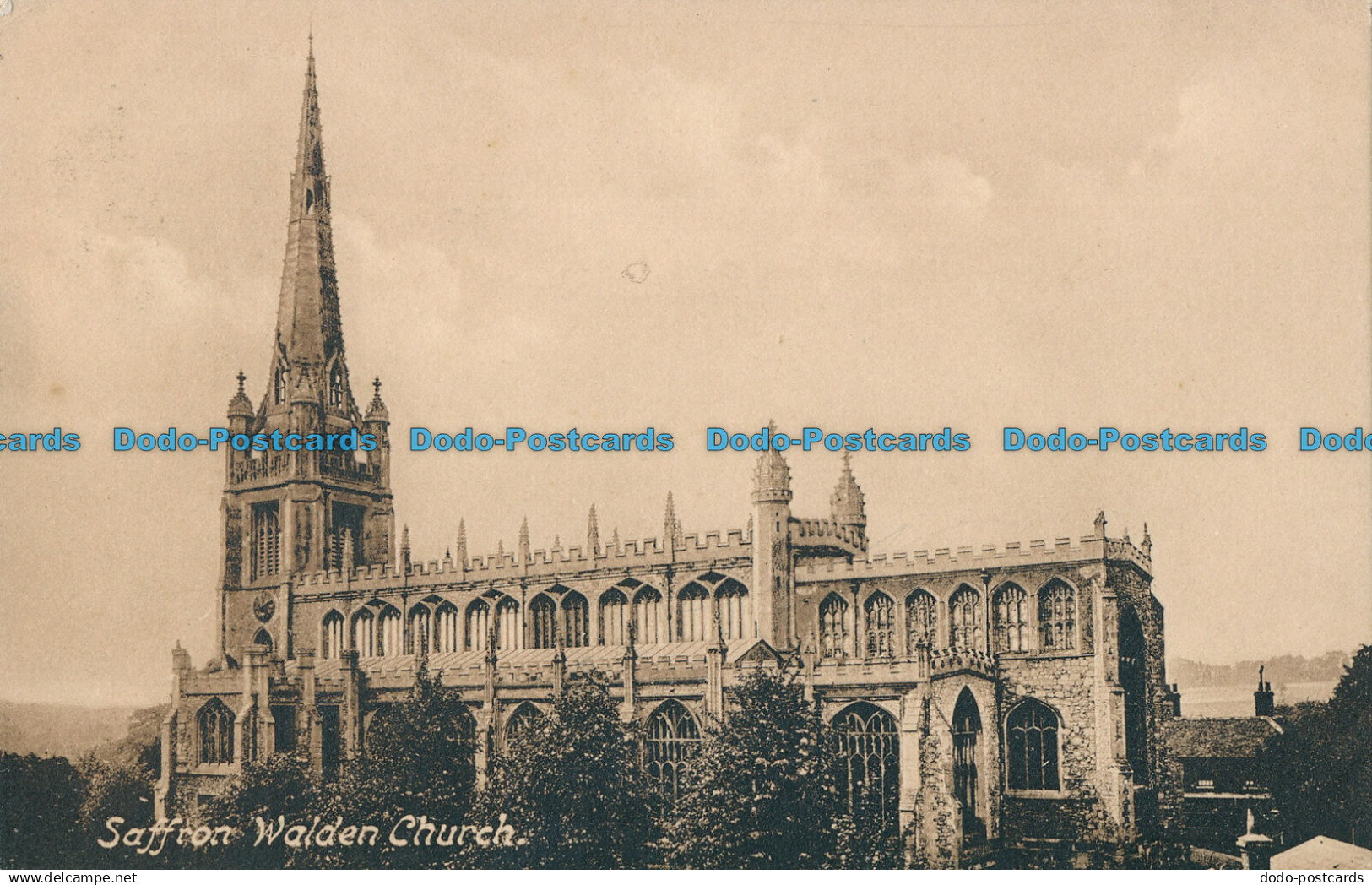 R021535 Saffron Walden Church. W. Thompson. 1915