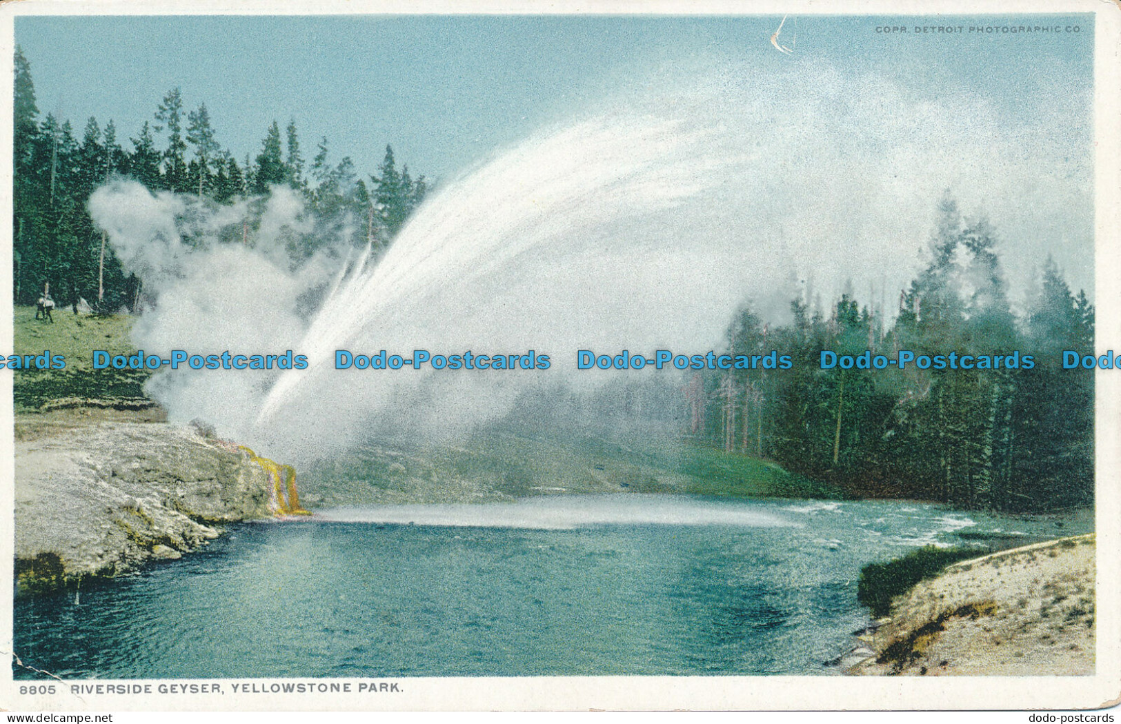 R035059 Riverside Geyser. Yellowstone Park. Phostint