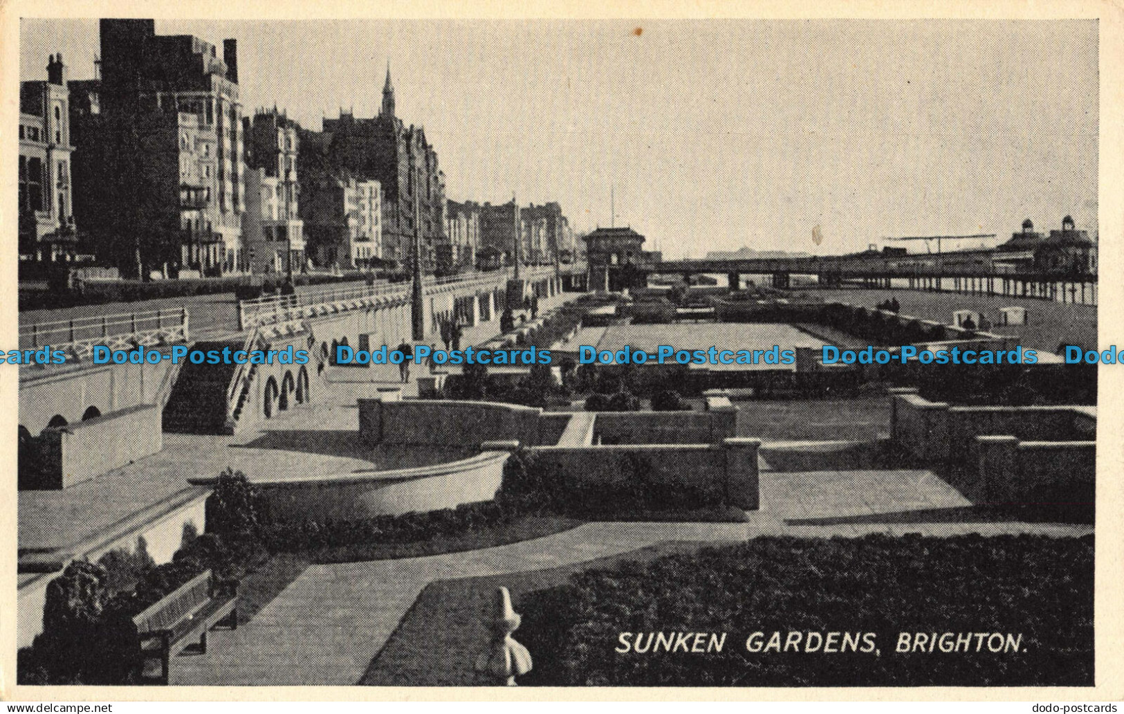 R043589 Sunken Gardens. Brighton. A. J. Jackson