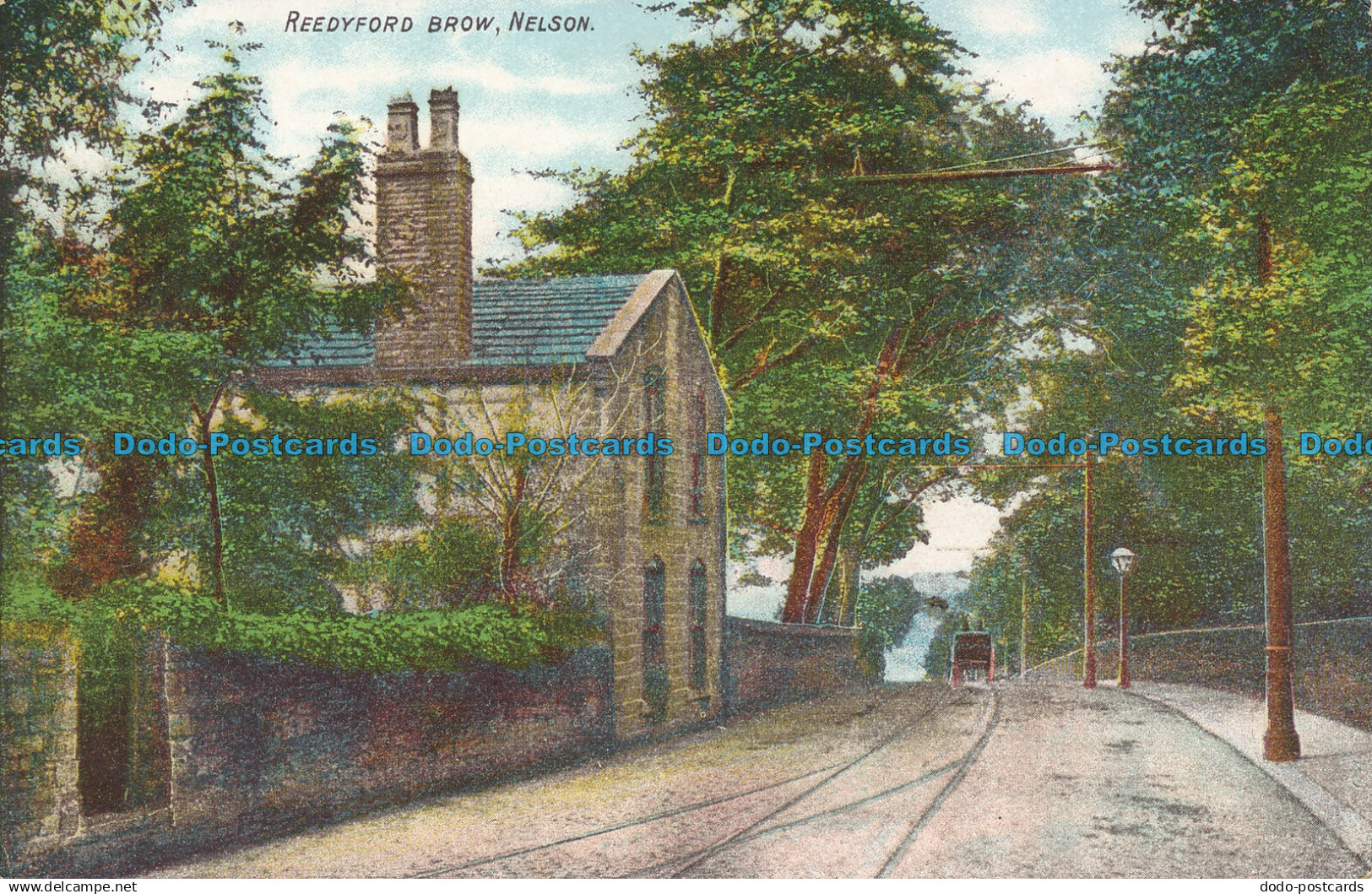 R049675 Reedyford Brow. Nelson