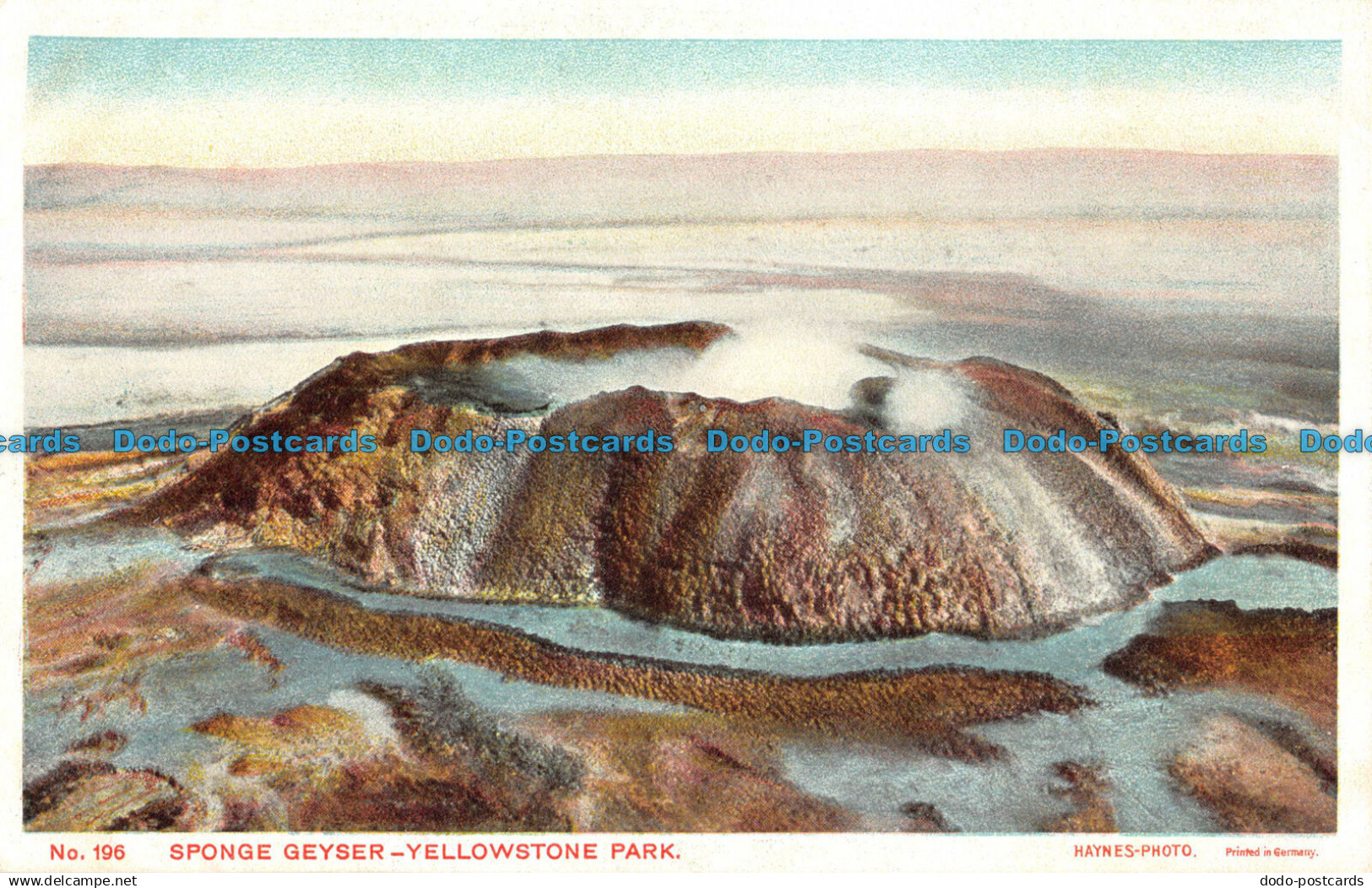 R054231 Sponge Geyser. Yellowstone Park. Haynes