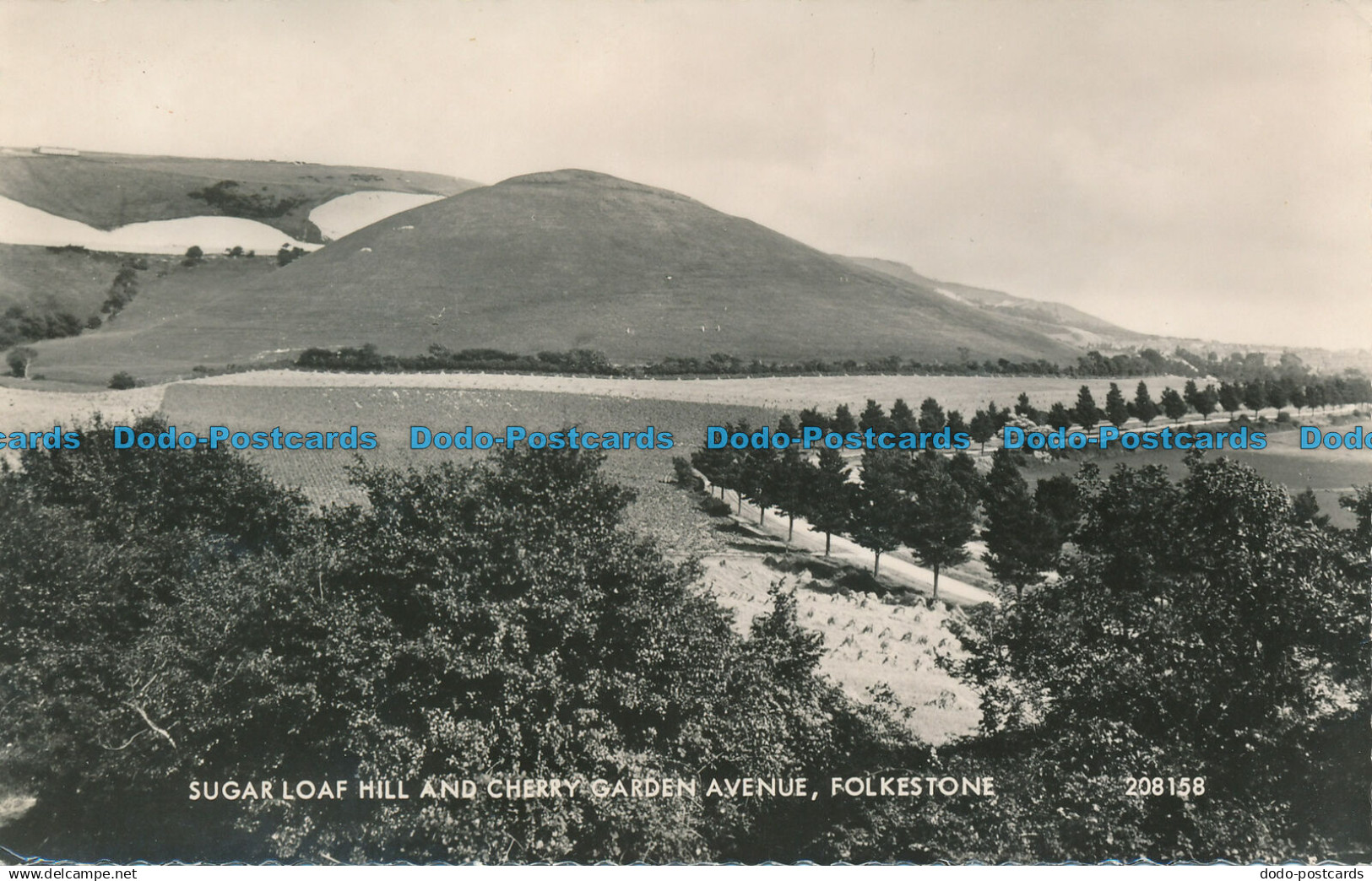 R058865 Sugar Loaf Hill and Cherry Garden Avenue. Folkestone. Valentine. no 2081