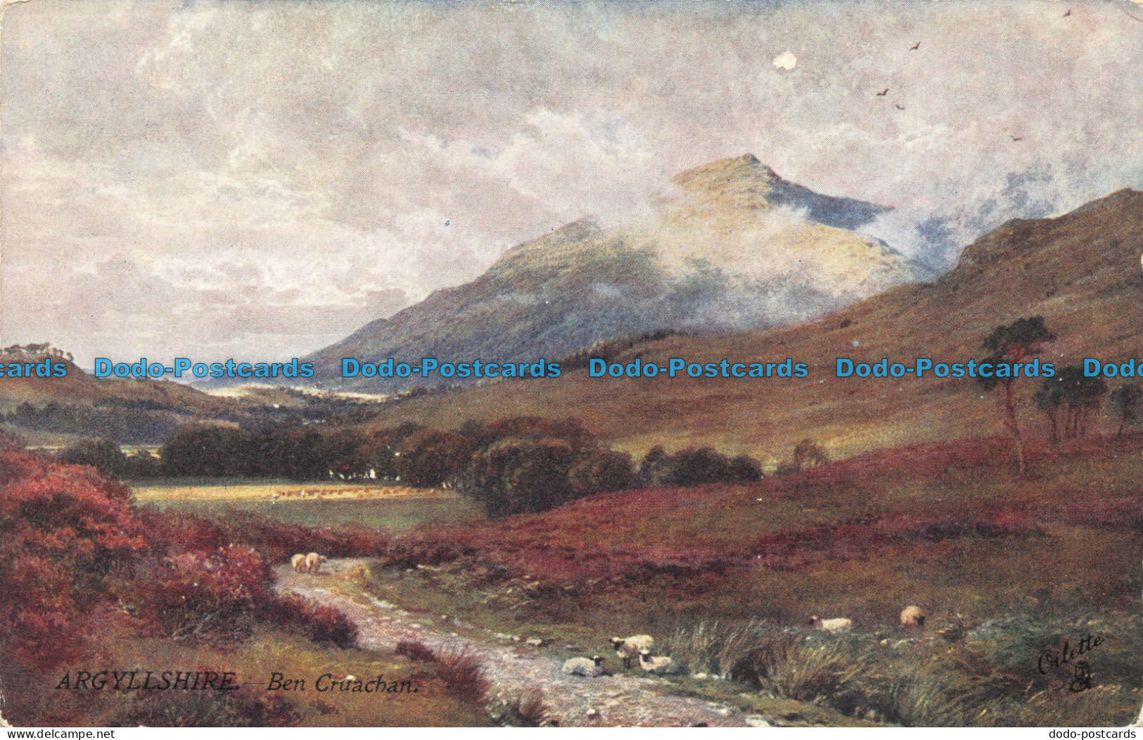 R061366 Argyllshire. Ben Cruachan. Tuck. Oilette