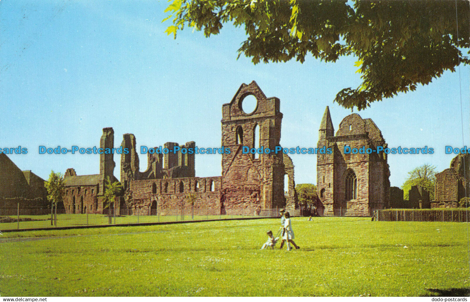 R067916 Arbroath Abbey. Angus. Arthur Dixon