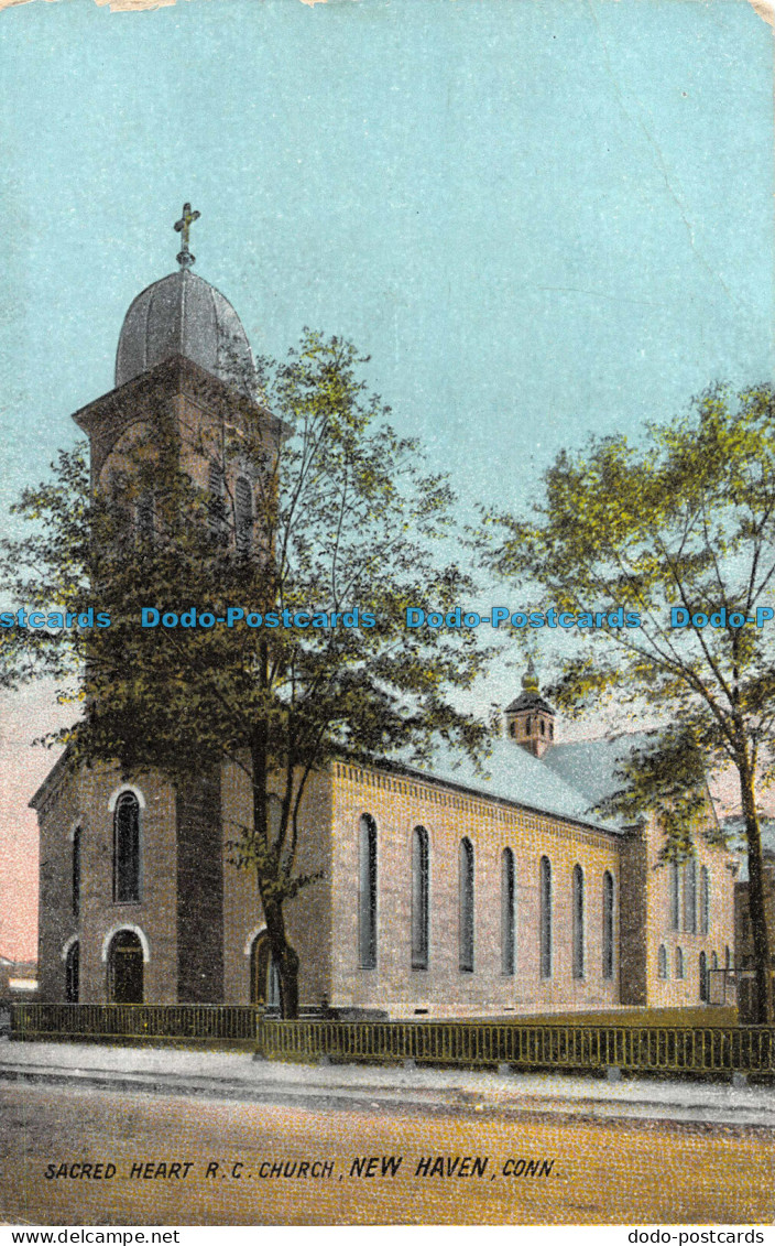 R079489 Sacred Heart R. C. Church. New Haven. Conn. SL