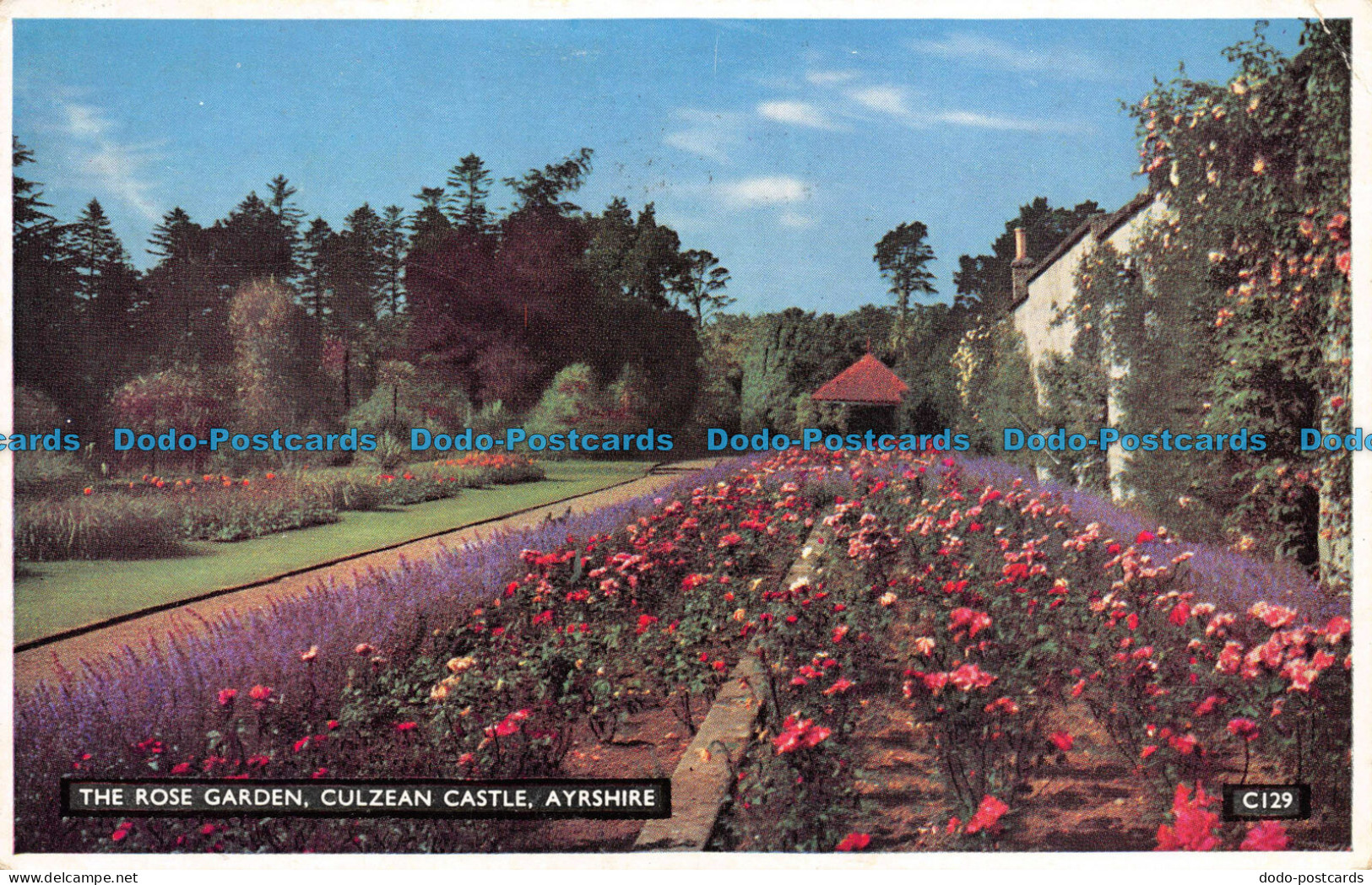 R082230 The Rose Garden. Culzean Castle. Ayrshire. Henderson. 1960