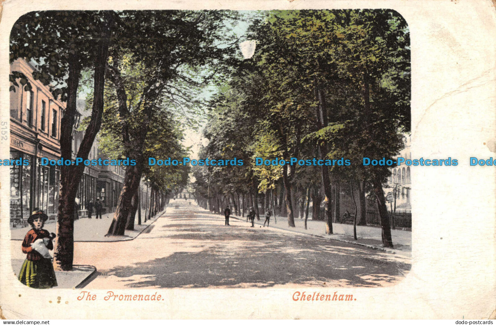 R093627 The Promenade. Cheltenham. 1908