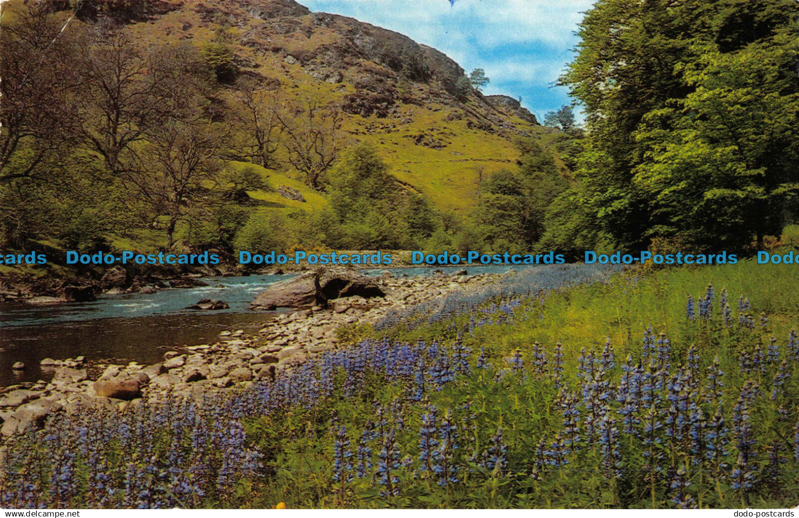 R095169 The River Lyon. Glen Lyon. Photo Precision. 1981