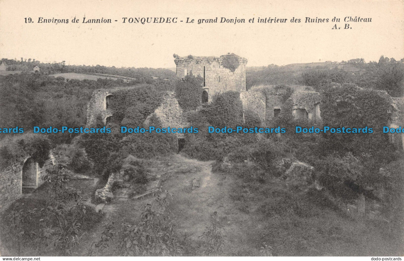 R100790 Environs de Lannion. Tonquedec. Le grand Donjon et interieur des Ruines