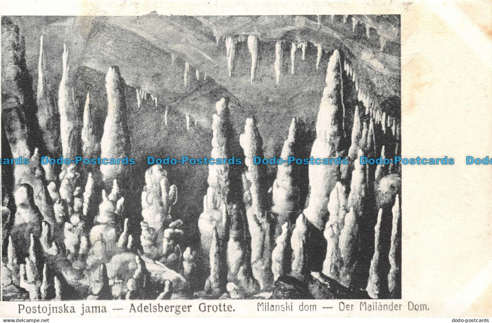 R121293 Postojnska Jama. Adelsberger Grotte. A. Bole