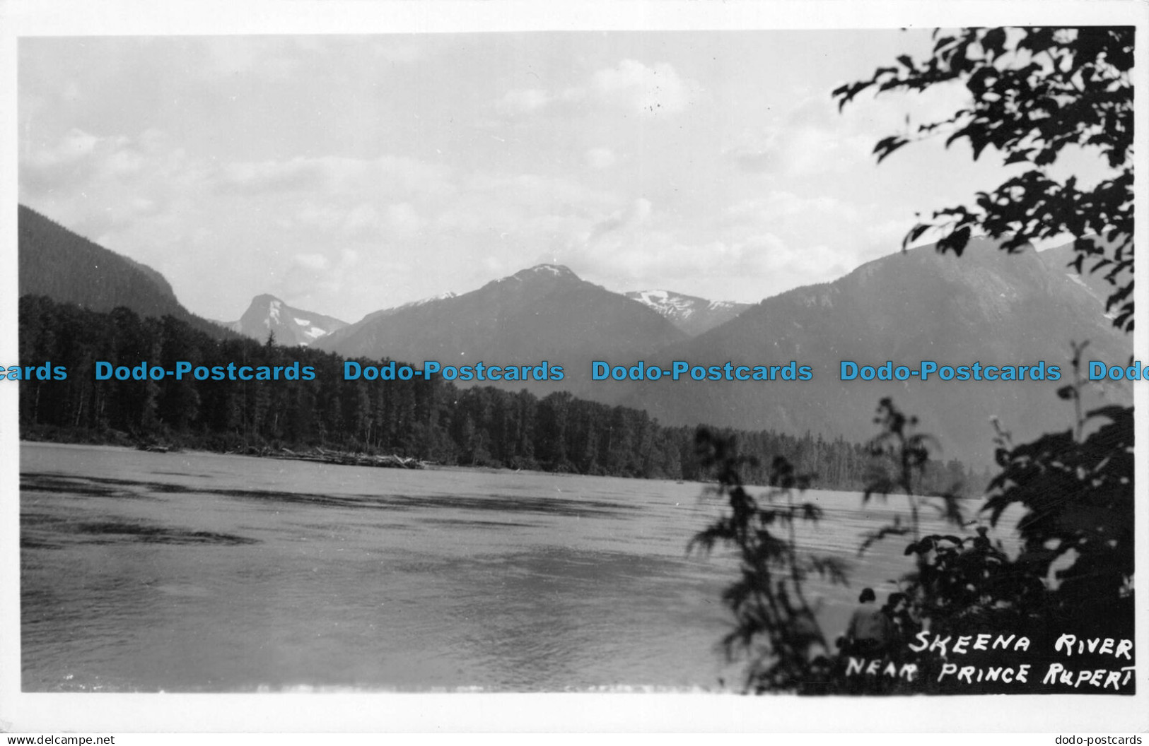 R151951 Skeena River. Near Prince Rupert