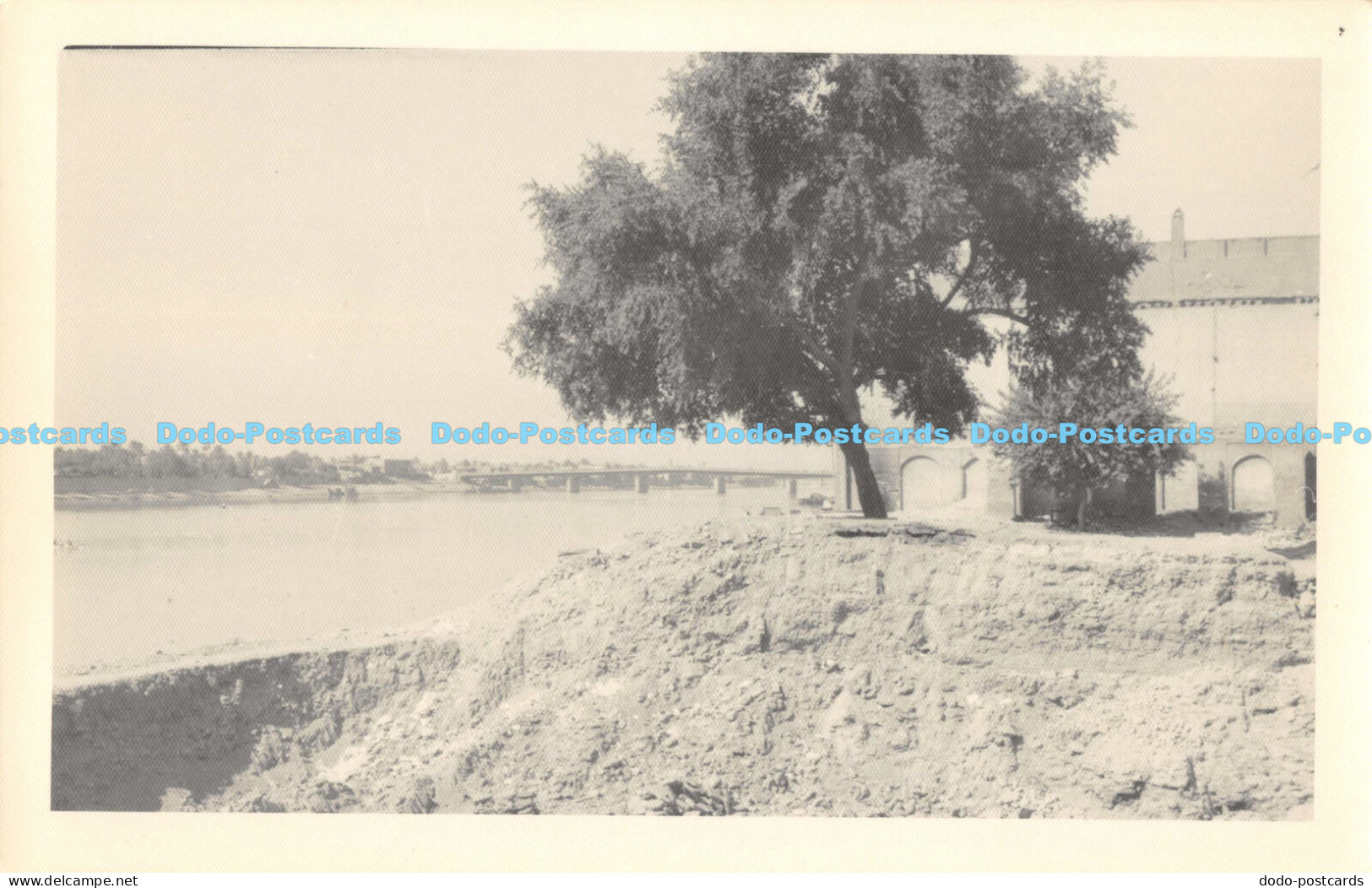 R168510 Iraq. Old Photography. Postcard. Gevaert