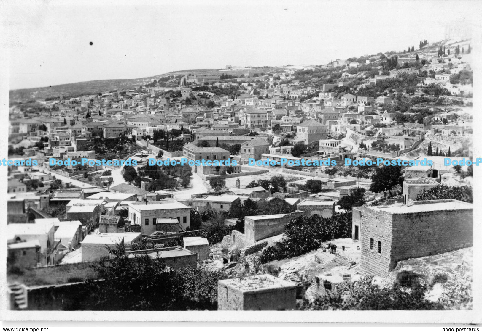 R175137 Palestine. Old Photography. Postcard