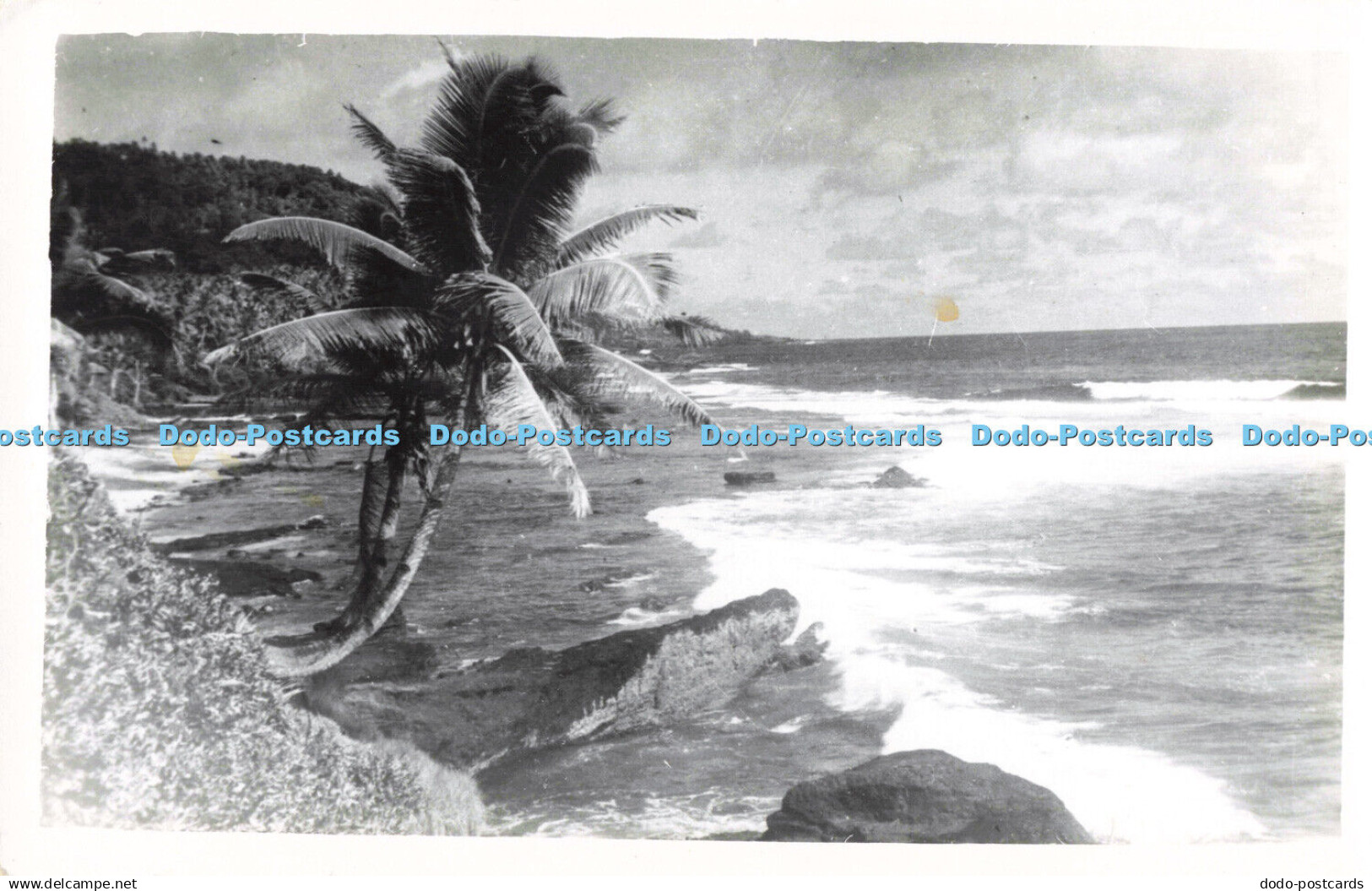 R200614 Beach Sands Palm Old Photography Postcard Samoa