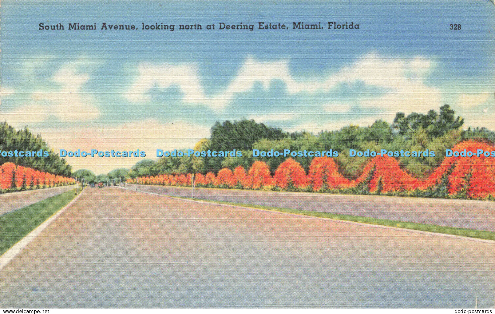 R210608 South Miami Avenue looking north at Deering Estate Miami Florida 328 Cig