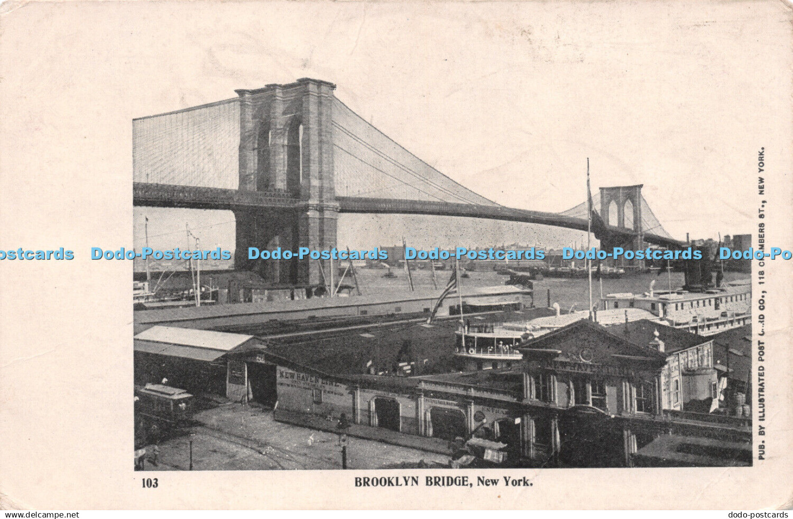 R223524 103 Brooklyn Bridge New York Illustrated Post Card