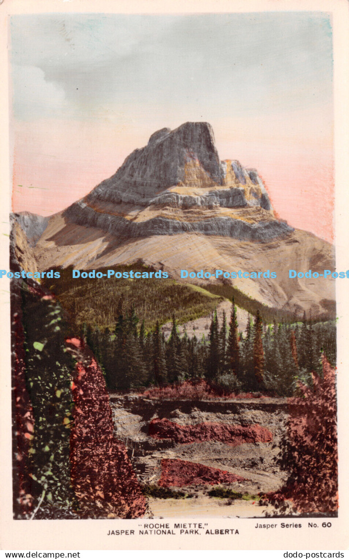 R229272 Roche Miette Jasper National Park Alberta Jasper Series No 60 RP J Fred