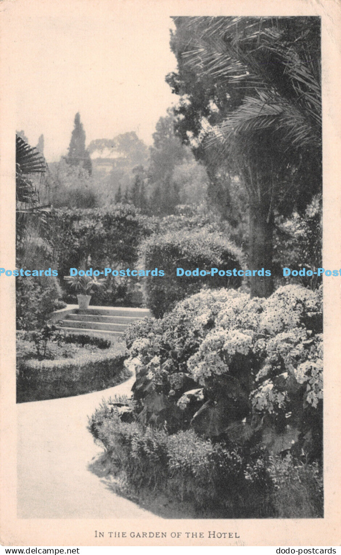 R241325 In the Garden of the Hotel Hotel St George Mustapha Algiers