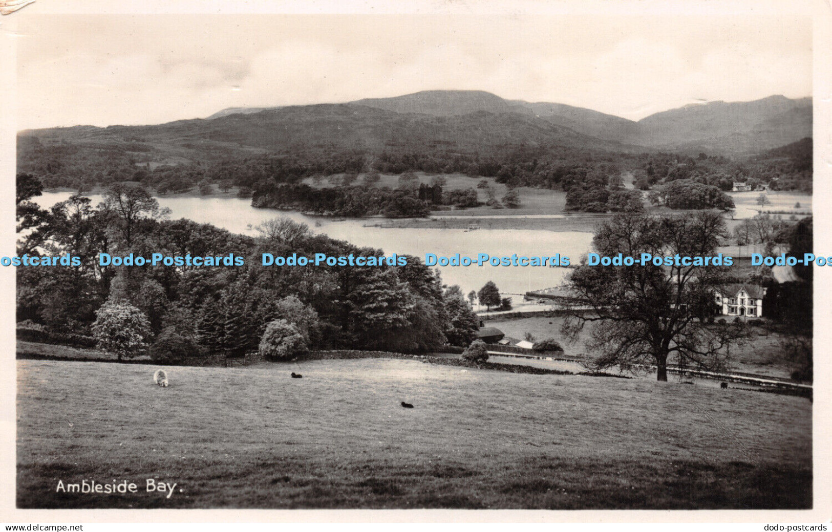 R245357 Ambleside Bay Postcard