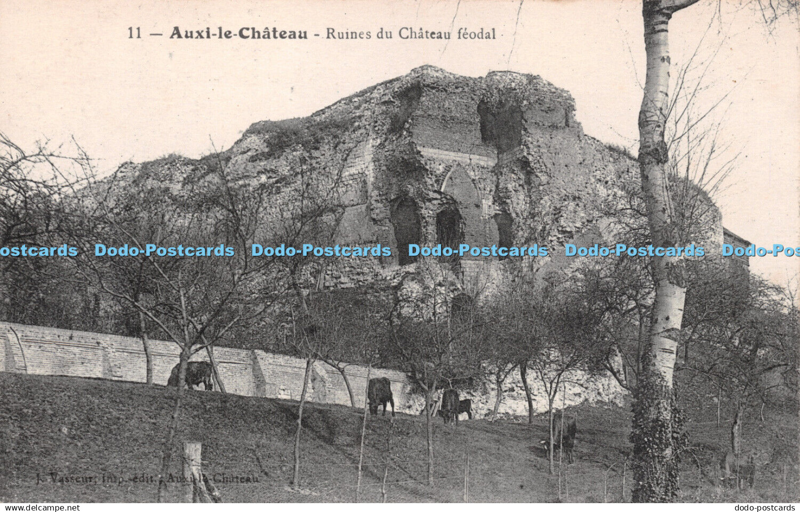 R258228 11 Auxi le Chateau Ruines du Chateau feodal J Vasseur Catala Freres