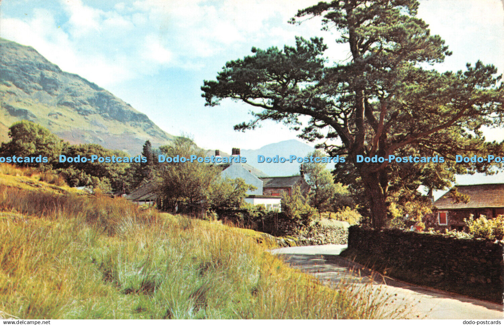 R291875 Buttermere Village Postcard