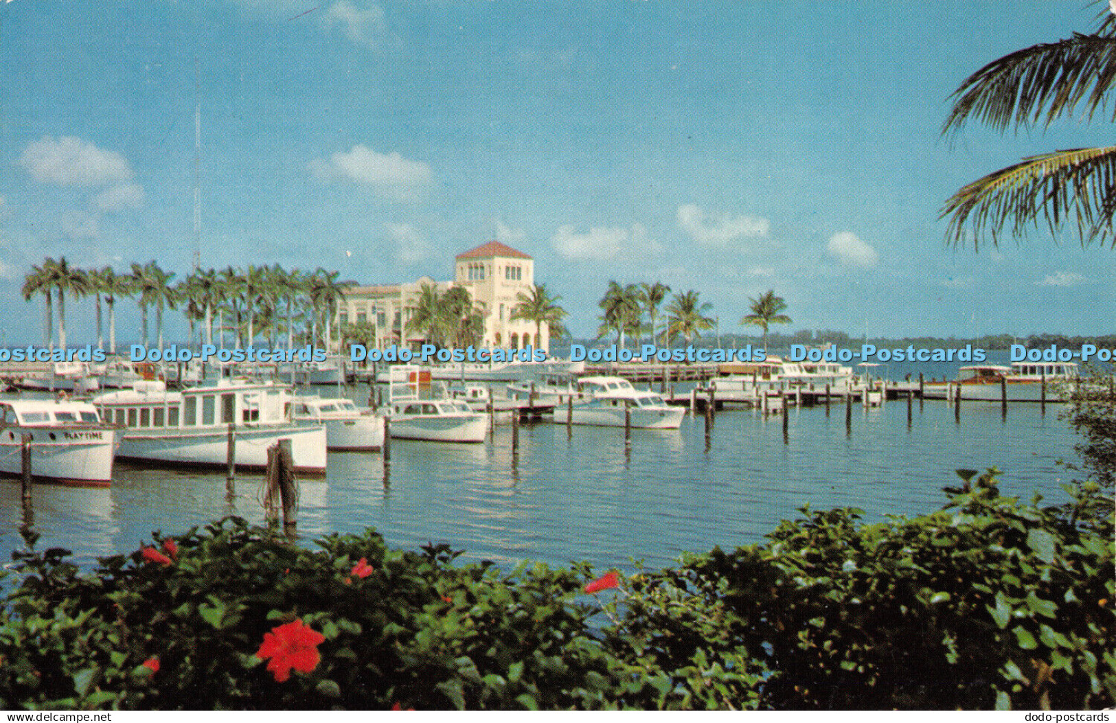 R312726 Bradenton Florida Memorial Pier and Yacht Basin MCL 2 Tropical Cards and