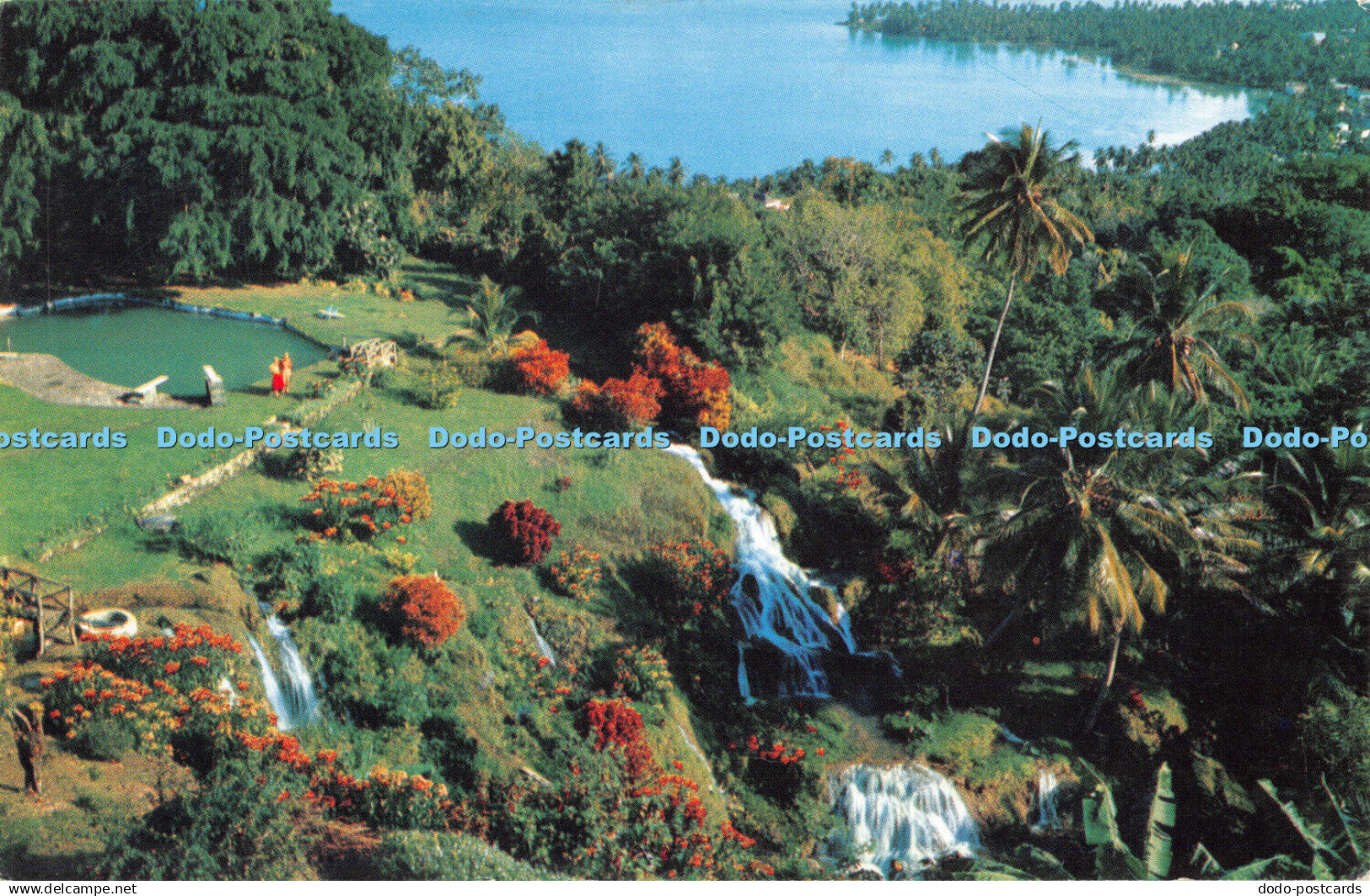 R315529 Jamaica The quiet tropical gardens of Jamaica north shore near Ocho Rios