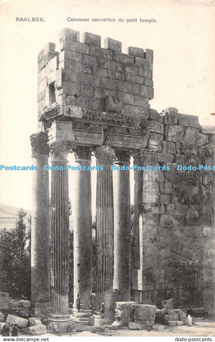 R338748 Baalbek Colonnes cannelees du petit temple Herman Seibt Meissen Saxe 191