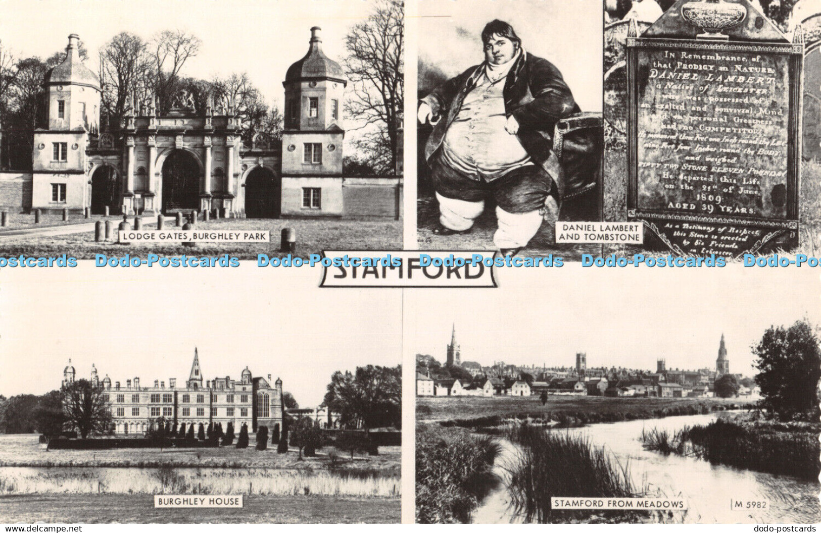 R375740 Stamford M5982 Valentines RP Multi View