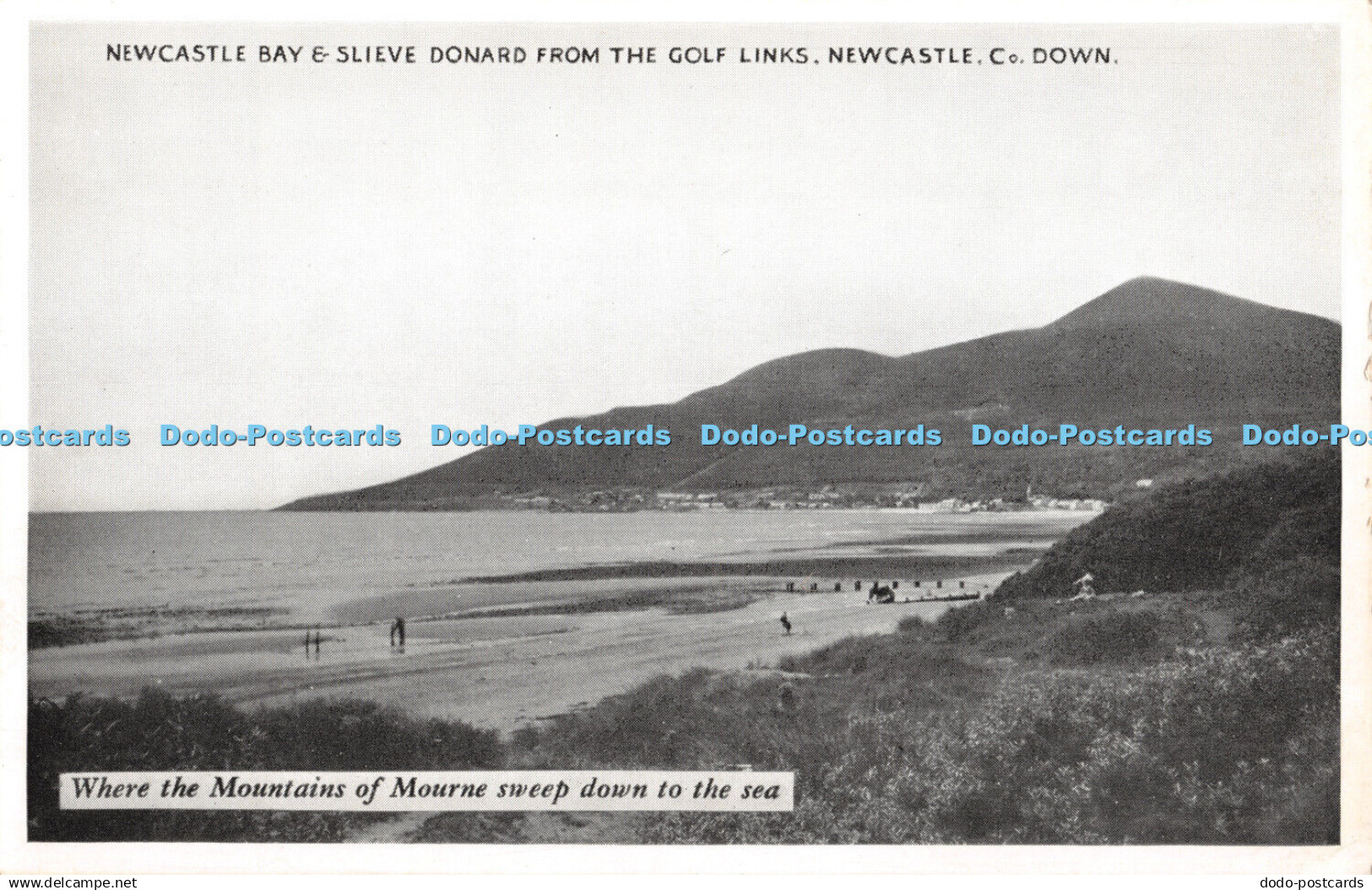 R376589 Co Down Newcastle Newcastle Bay and Slieve Donard from the Golf Links Go