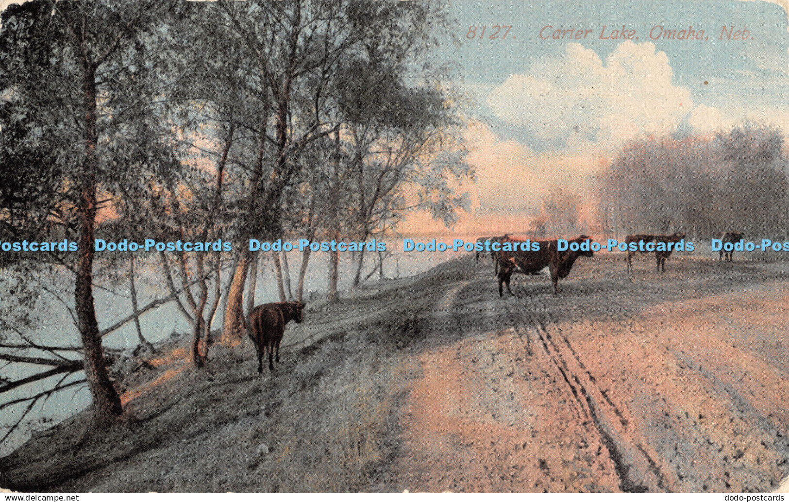 R388582 8127 Carter Lake Omaha Neb 1914