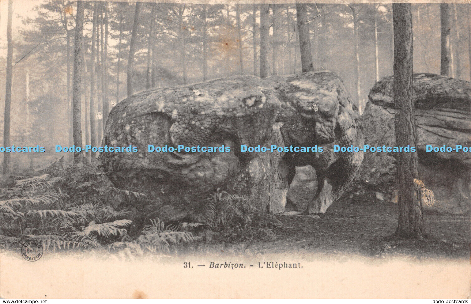 R405092 Barbizon L Elephant Postcard