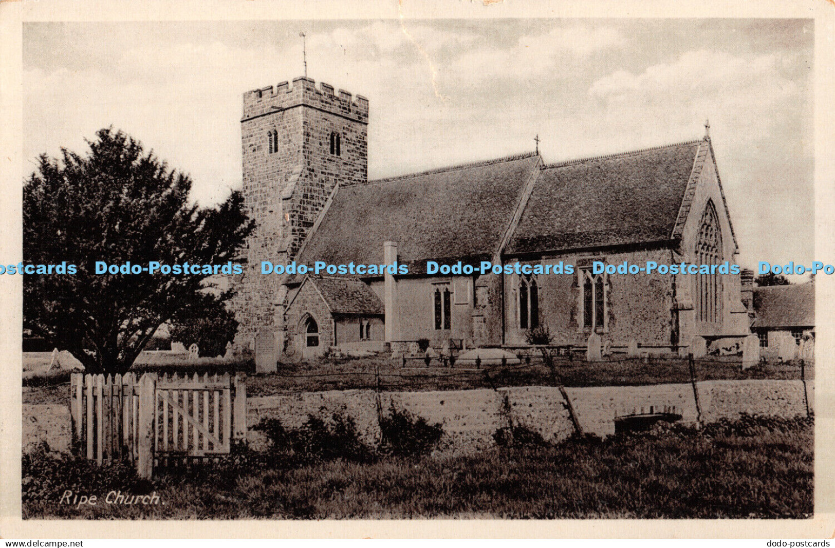 R410545 Ripe Church Yorkshire