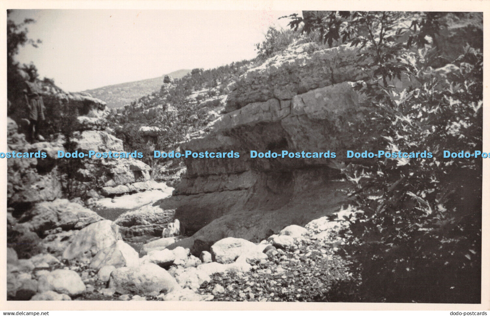 R410807 View of fried up river bed near Dour Old Photography Postard