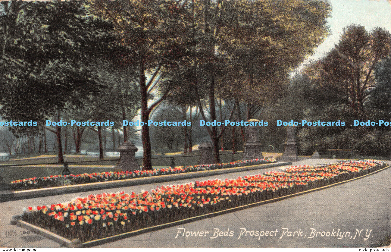 R412779 N Y Brooklyn Flower Beds Prospect Park 1908