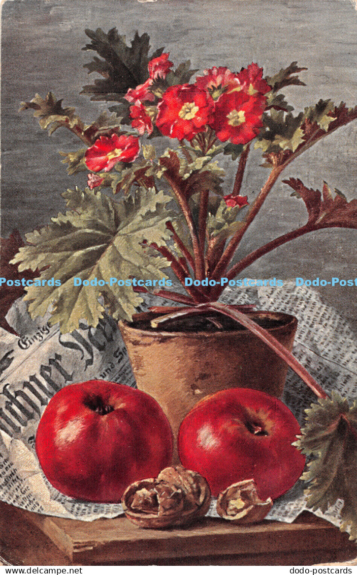 R422024 Flowers Apples Nuts Painting Postcard S Hildesheimer No 5265