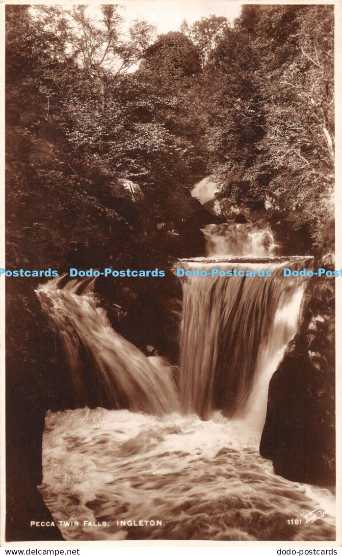 R444924 Ingleton Pecca Twin Falls Walter Scott RP